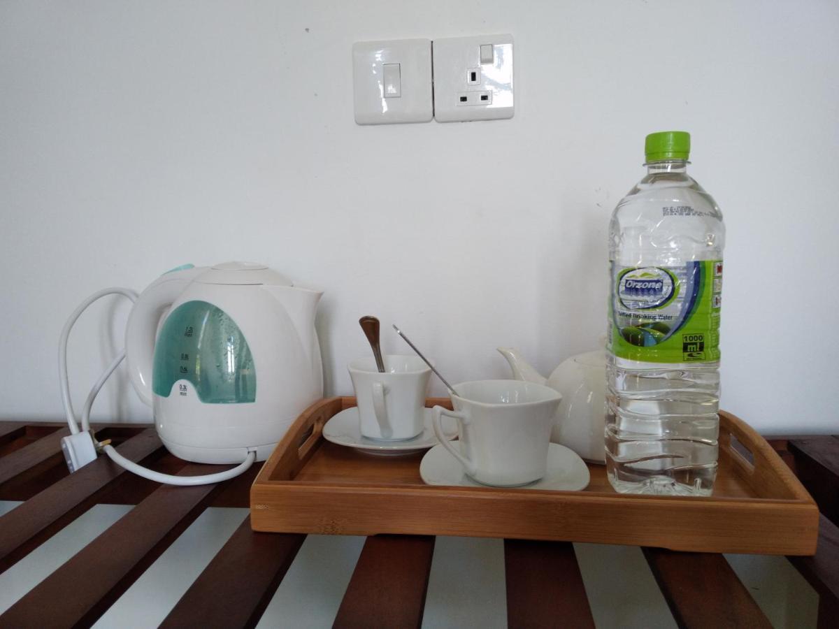 Holly House Homestay エッラ エクステリア 写真