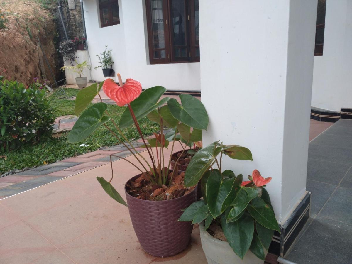 Holly House Homestay エッラ エクステリア 写真
