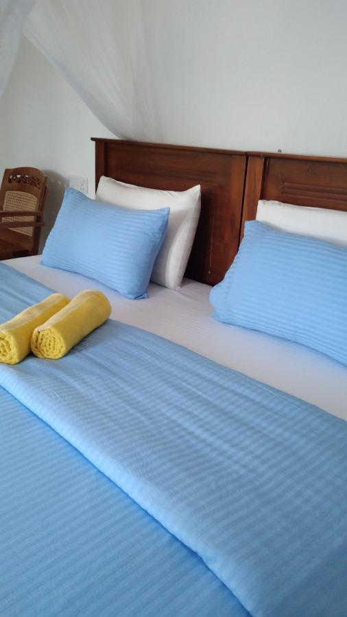 Holly House Homestay エッラ エクステリア 写真