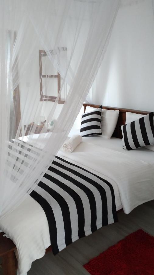 Holly House Homestay エッラ エクステリア 写真